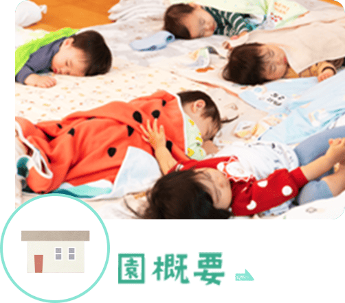 園概要