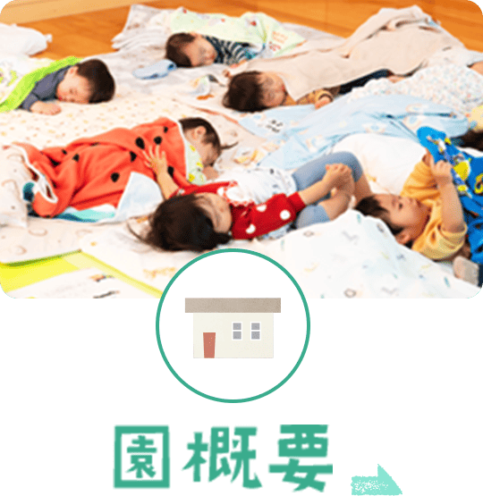 園概要